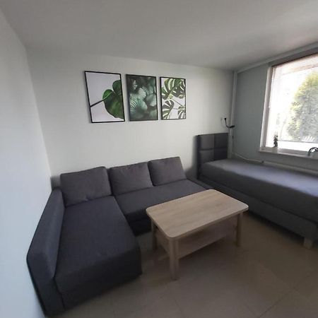 Apartament Z Ogrodem Тыхы Экстерьер фото