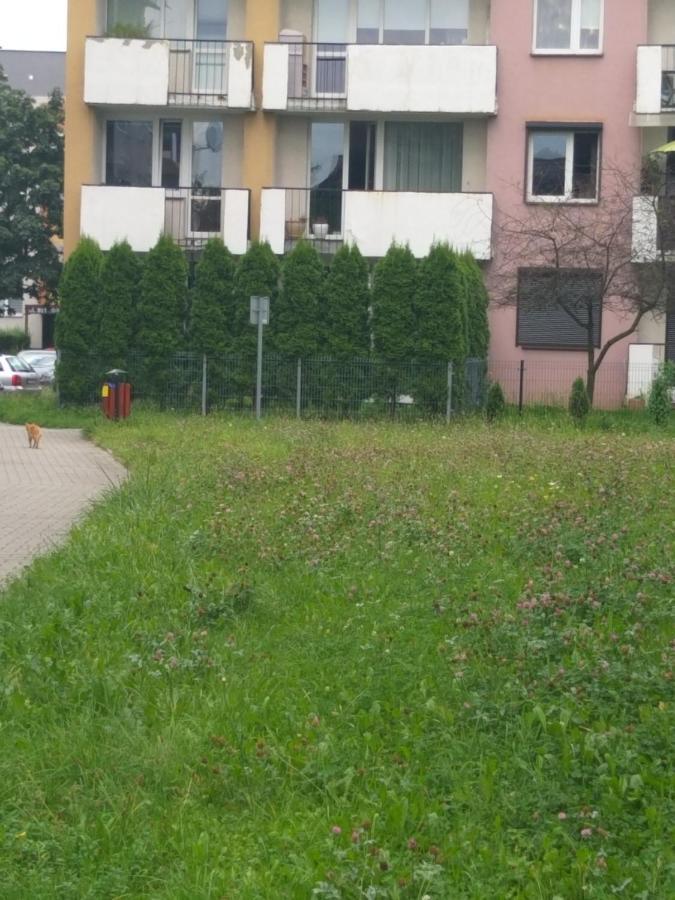 Apartament Z Ogrodem Тыхы Экстерьер фото