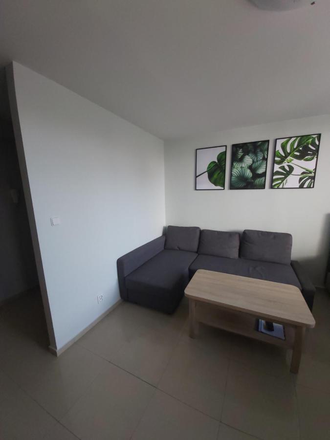 Apartament Z Ogrodem Тыхы Экстерьер фото