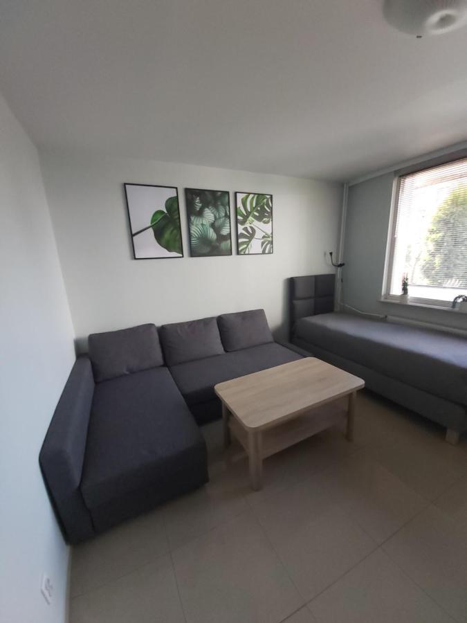 Apartament Z Ogrodem Тыхы Экстерьер фото